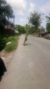 Kerusakan Jalan Lintas Nasional Telah Merenggut Korban Jiwa