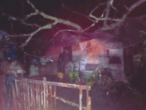 Angin Kencang, Pohon Besar Timpa Rumah Warga