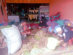Petani Bawang di Desa Tingkem Disambangi Babinsa