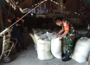 Pantau Stok Pangan, Babinsa Langsa Timur Sambangi Penggilingan Padi