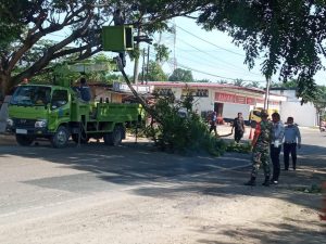 Antisipasi Pohon Tumbang, Babinsa 22/Lgsb Bersama Dinas Lingkungan Hidup Rapihkan Cabang Pohon di Bahu Jalan