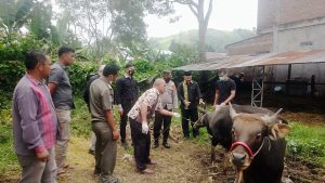 Antisipasi Virus PMK, Dinas Pertanian Aceh Tengah Adakan Rapat Bersama Lintas Sektor