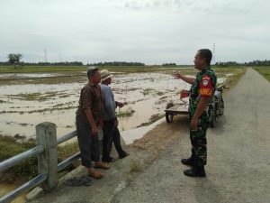 Serda Barus “Gelar Ngobrol Santai Di Pinggir Jalan Desa Sukarejo Bersama Petani”