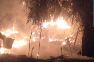 Dalam Sepekan, Puluhan “Peurdei Trieng” Terbakar Di Pidie