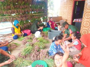 Berikan Semangat, Babinsa Ini Komsos Dengan Petani Bawang Merah