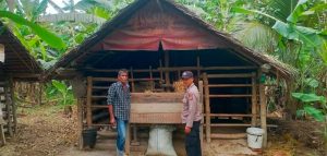 Pastikan Hewan Ternak Sehat, Satgas Penanganan PMK Polres Pidie Lakukan Pengecekan Ke Gampong