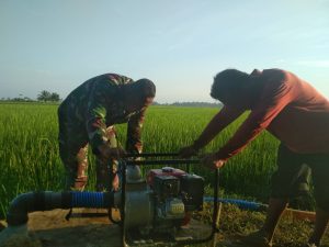“Bersama Petani,” Kopda Suwandika Mengaliri Areal Sawah Yang Kering