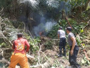 Damkar BPBD Bersama Polsek Tiro Padamkan Karhutla