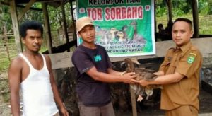 Distan Madina Bagikan Bibit Bebek dan Ayam Kepada Warga Penerima