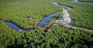 Manggrove Forest Park Kuala Langsa Akan Dibuka Kembali