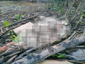 Pemancing Temukan Mayat Mengapung di Sungai Peureulak