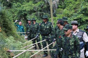 TUJUH JENDERAL BNN BABAT TUJUH HEKTAR GANJA ACEH