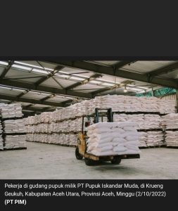 PT Pupuk Iskandar Muda Alokasiksn 136.105,18 Ton Urea Subsidi