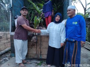 Pemdes Gunung Tua Jae Kembali Salurkan Bibit Kelapa Frida Secara Geratis Kepada Warga
