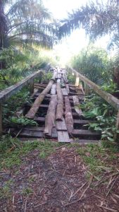 Jembatan Hubungan Persawahan Meunumbok Rusak Parah