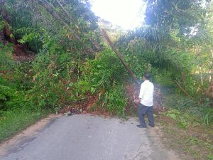 Longsor dan Pohon Tumbang Tutup Jalan Trom