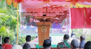 Pj. Bupati Aceh Barat Hadiri Kegiatan Panen Raya Padi 3x Setahun