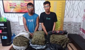 Satnarkoba Polres Langsa, Tangkap dua orang Pengedar Ganja