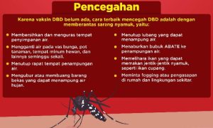 DBD di Pidie Meningkat, Kata Kabid P2P Perlu Upaya Bersama Mengatasinya