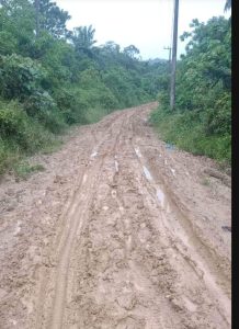 Melintasi Jalan Berlumpur, Karyawan PTPN-1-Aceh, Meninggal Dunia