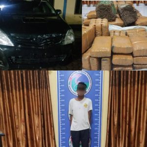 DPO Narkoba Ditangkap, 147 Kg Ganja Ikut Diamankan