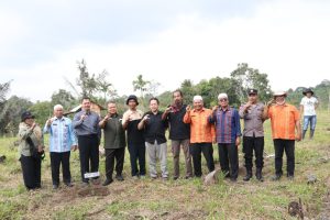 Bupati Tapsel Serahkan 10 Ribu Batang Bibit Cabai dan Berbagai Bantuan Ke 5 Koptan Kecamatan Sipirok