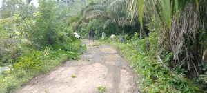 Jum’at Bersih, Kades Simataniari Kerahkan Gotong Royong Membabat Pinggir Jalan