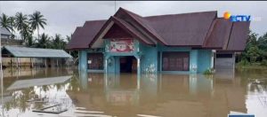 Hujan Mengguyur Bireuen, Pidie dan Pijay Ribuan Hektare Sawah dan Rumah Penduduk “Tenggelam”