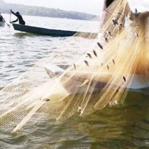 Pukat Trawl Tetap Beroperasi di Perairan Aceh Timur, Peringatan Kapolres Tak Dindahkan