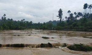 Banjir Landa Pidie, Ribuan Hektar Sawah Dan Tambak Warga Rusak