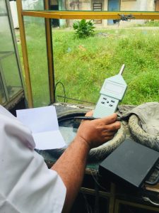 Gawat! Temuan Tim Verifikasi DLHK Ketika Datangi Tempat Usaha Sarang Walet di Panton Labu