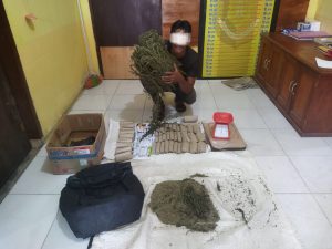 Personil Polsek Manyak Payed Ciduk Seorang Tersangka Pemilik Ganja