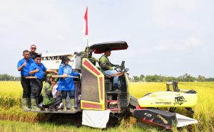 Gerakan Panen Padi Nusantara 1 Juta Ha, Pj Bupati Pidie : Seluruh Aparat Agar Ikut Aktif Dalam Upaya Peningkatan Produksi Pangan