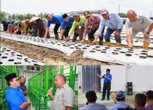 Pj Bupati Bersama Sekda Pidie Tinjau Cold Storage dan Penanaman Bawang Merah