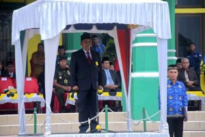 Otonomi Daerah Maju, Indonesia Unggul