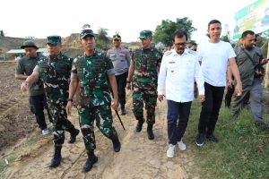 Pangdam IM Didampingi Pj Bupati Aceh Utara Tinjau Lahan Jagung