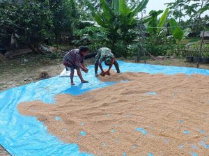 Sertu Suhariadi : Kita Ingin, Semua Petani Kita Senang Dan Ekonomi Bisa Membaik