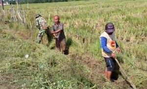Serda Bendi M.J : Agar Selalu Menjaga Kebersihan Lingkungan Dengan Membuang Sampah Pada Tempatnya