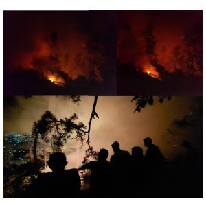 Bur Telege Terbakar