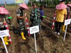 Kasdim : Kegiatan Ini Merupakan Langkah Tepat Tingkatkan Ketahanan Pangan