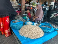Pasca Pemilu, Harga Sembako Stabil