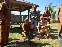 Pemkab Aceh Besar dan Angkasa Pura II Tanami Tabebuya di Gampong Nusa