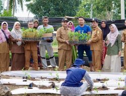 Kendalikan Inflasi, Poktan Hareukat Tani Aceh Besar Luncurkan Gerakan Tanam 6.000 Cabai