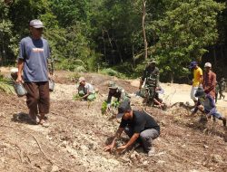 Letda. Inf. Jahardi : Penanaman Pohon Ini Untuk Menjaga Ekosistem Alam