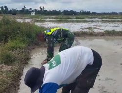 Serda M. Sueko : Benih Padi yang Bagus dan Unggul Akan Lebih Tahan Terhadap Hama dan Penyakit