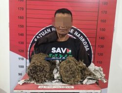 Nekat Bawa Sekarung Ganja Kering, Pengendara Honda Supra Diamankan Polisi