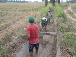 Serda M Syahdan : Ini Merupakan Salah Satu Upaya Untuk Menyukseskan Pertanian