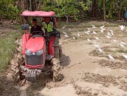 Mempercepat Proses Penanaman Padi Dengan Bantuan Hentraktor