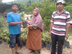 Pemdes Sipapaga Salurkan Bibit Durian Gratis Kepada Warga