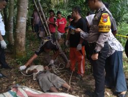 Tak Pulang Ke Rumah, Seorang Pria Paruh Baya Ditemukan Tewas Gantung Diri di Pohon Jengkol